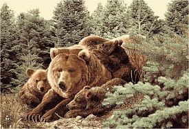 Круглый ковер Фауна 50633 Медведь